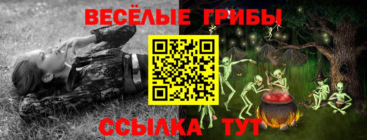 Новозыбков  Псилоцибиновые грибы ЛСД  Вход с VPN 