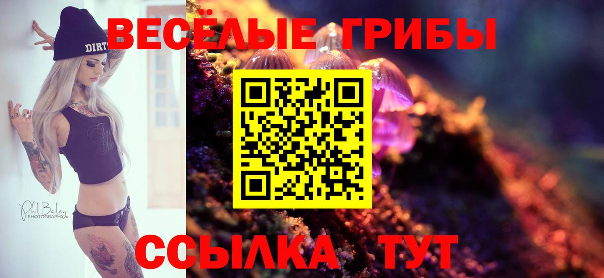 Псилоцибиновые грибы ЛСД Новозыбков